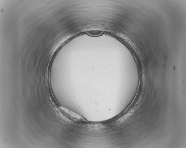 X0000059041129200511041629