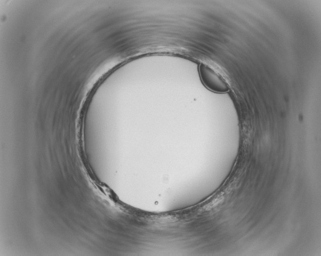 X0000059041135200511041630