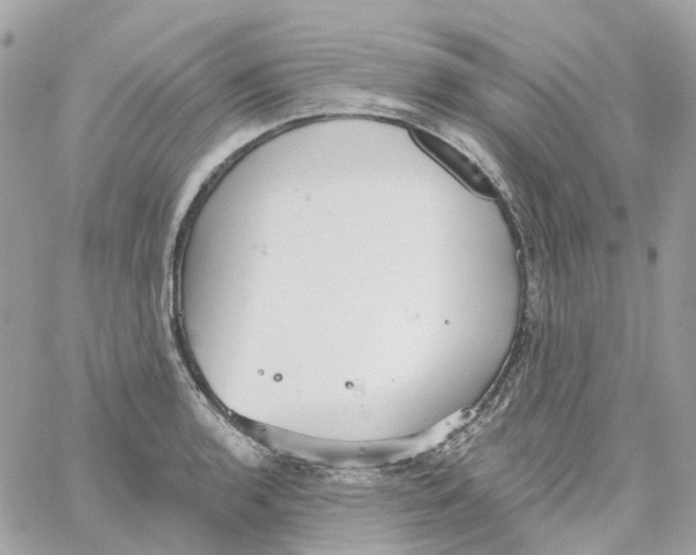 X0000059041136200511041630