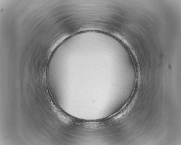 X0000059041137200511041630