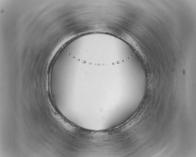 X0000059041140200511041630