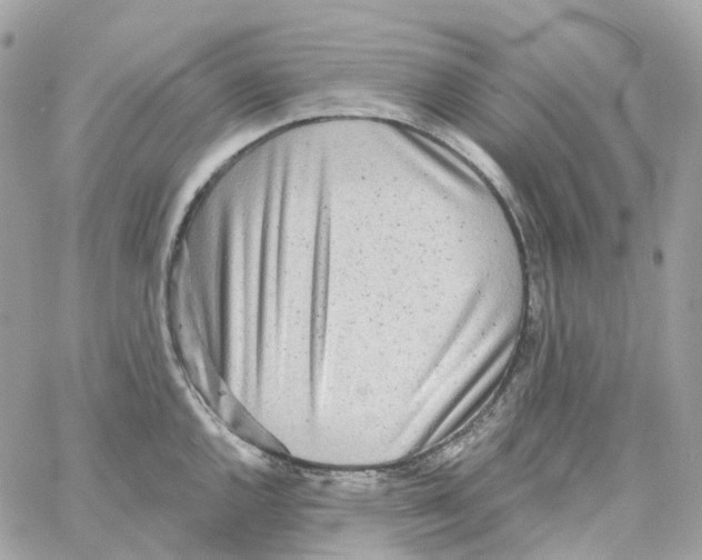 X0000059041144200511041630