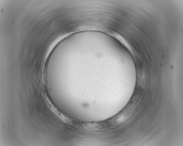 X0000059041148200511041630