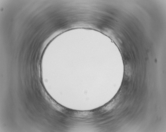 X0000059041150200511041630