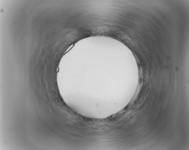 X0000059041153200511041629