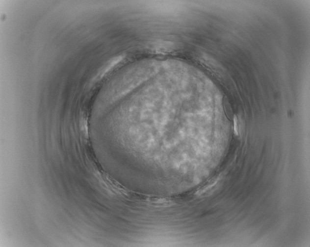 X0000059041155200511041629