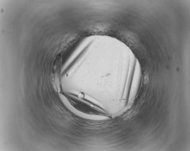 X0000059041156200511041629