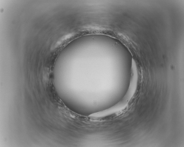 X0000059041157200511041629