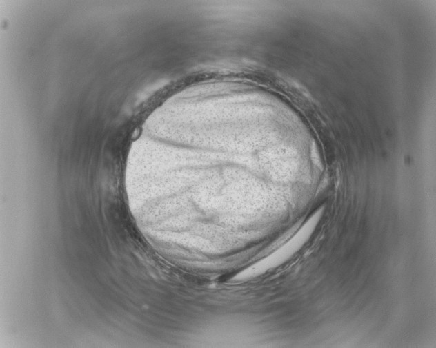 X0000059041158200511041629