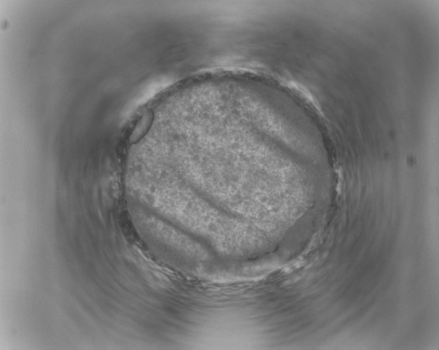 X0000059041159200511041629