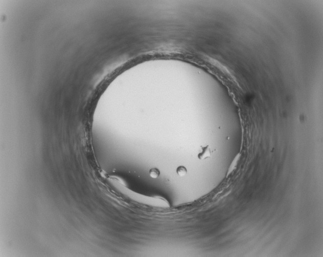 X0000059041160200511041629