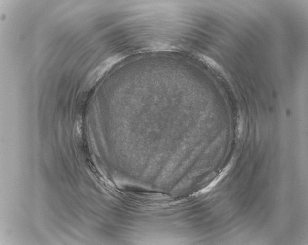 X0000059041161200511041629