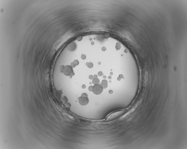 X0000059041162200511041629