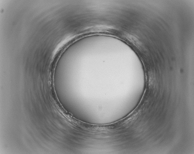 X0000059041164200511041629