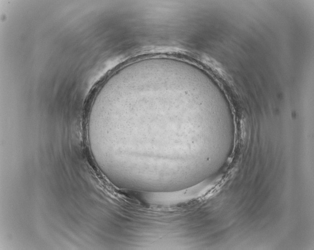 X0000059041165200511041629