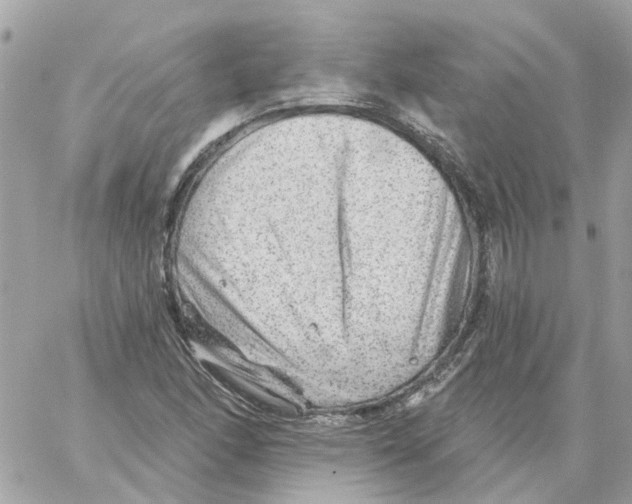 X0000059041166200511041629