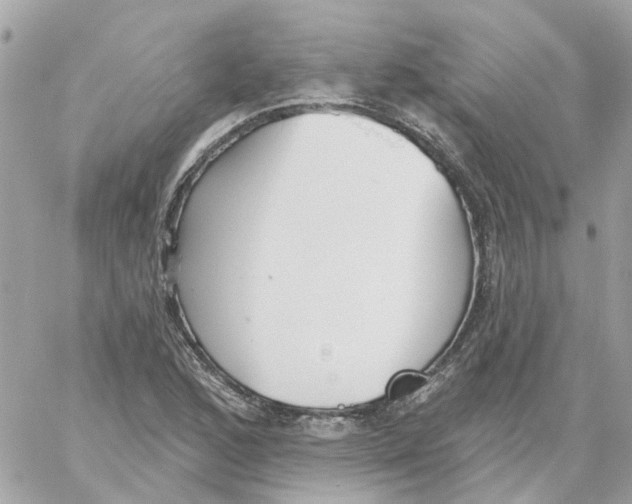 X0000059041168200511041629