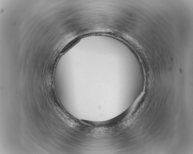 X0000059041169200511041629