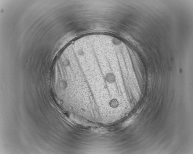 X0000059041170200511041629