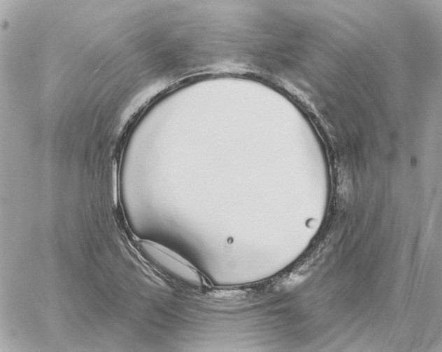 X0000059041171200511041629