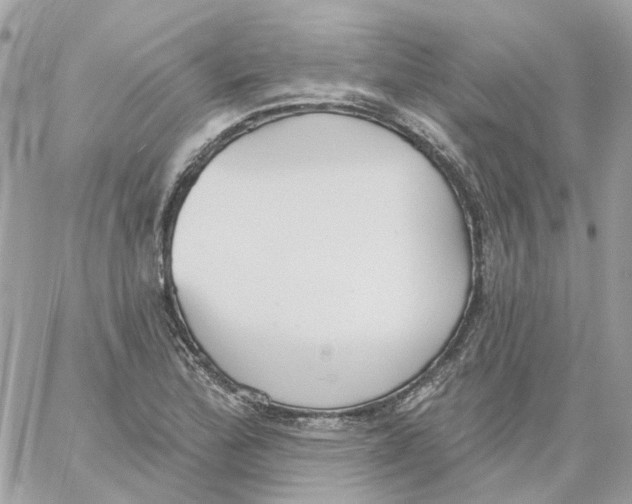 X0000059041172200511041629