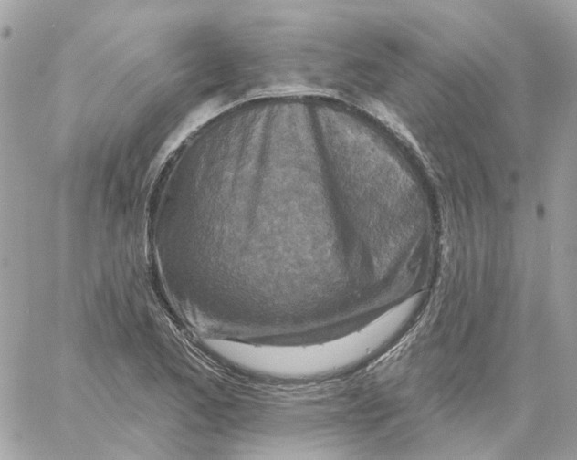 X0000059041173200511041629