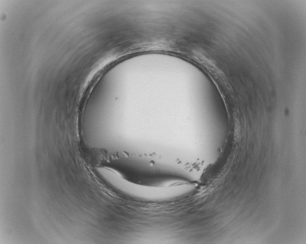 X0000059041174200511041629