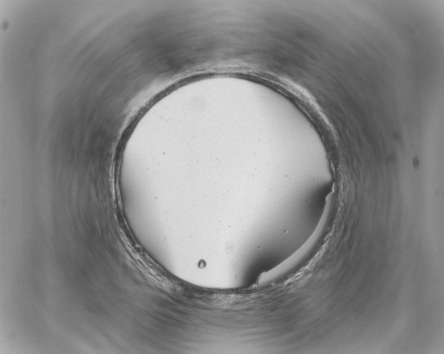 X0000059041176200511041629