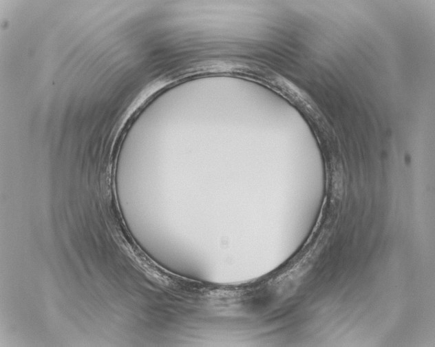 X0000059041178200511041629