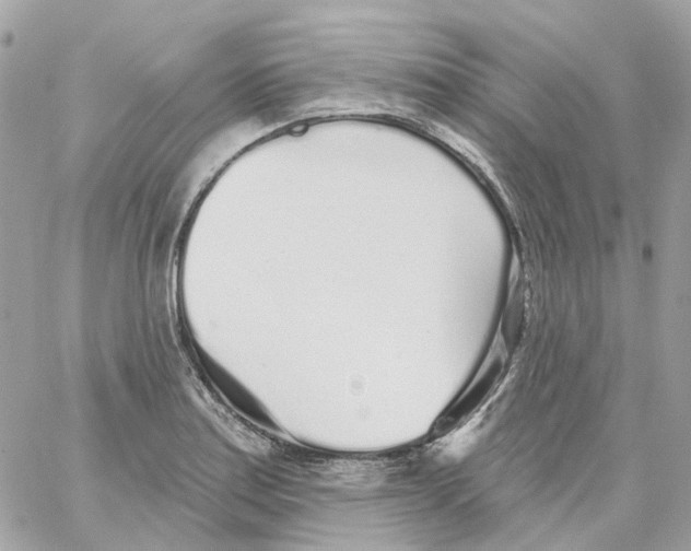 X0000059041179200511041629