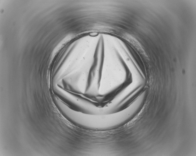 X0000059041180200511041629