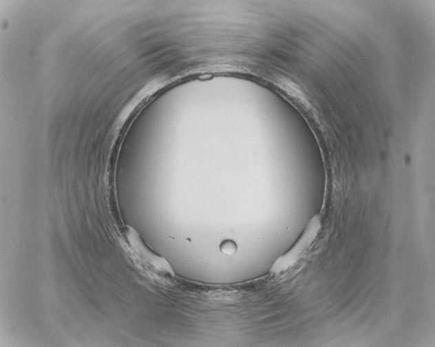 X0000059041181200511041629