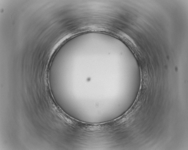 X0000059041182200511041629