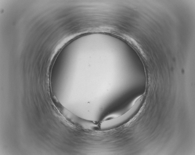 X0000059041184200511041629