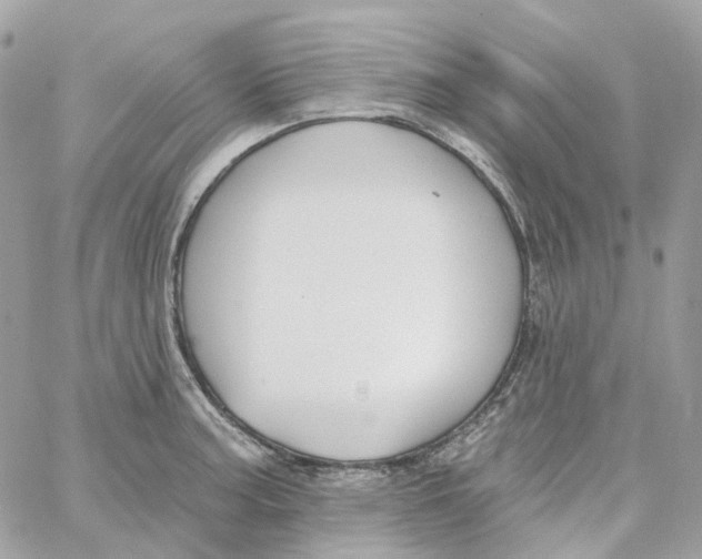 X0000059041187200511041628