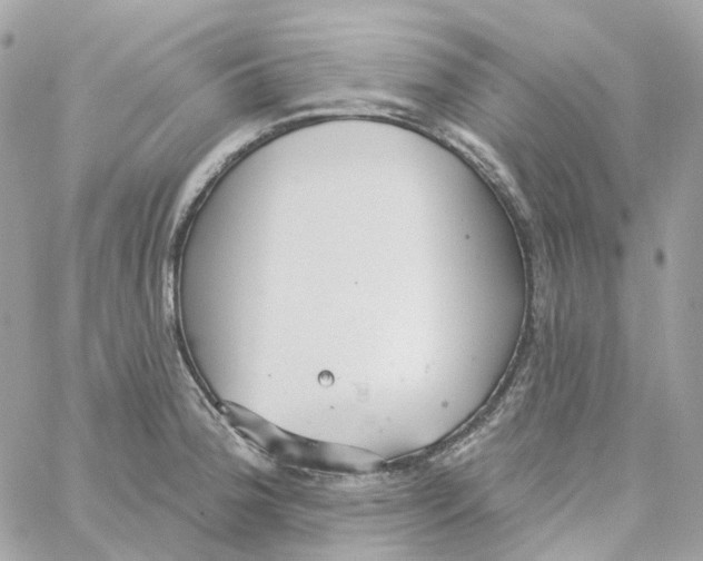 X0000059041188200511041628