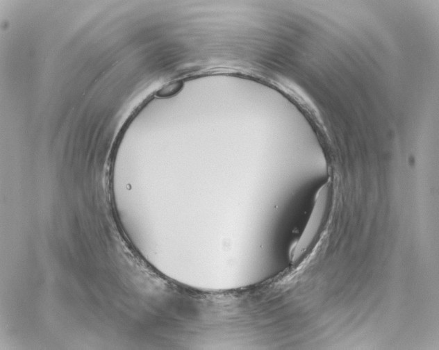 X0000059041190200511041628