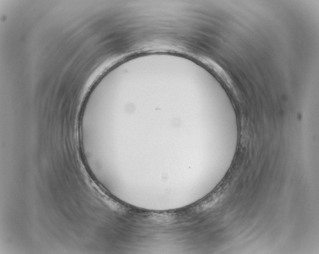 X0000059041191200511041628