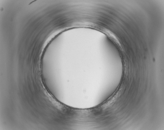 X0000059041192200511041628