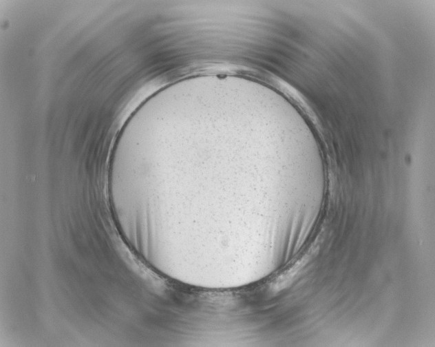 X0000059041194200511041628