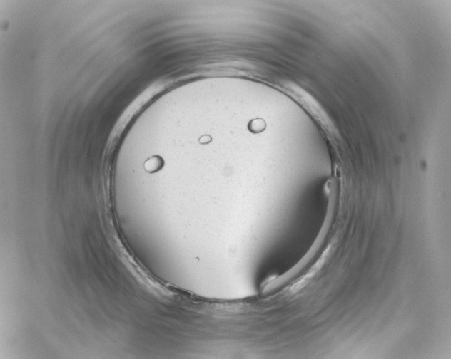 X0000059041196200511041628