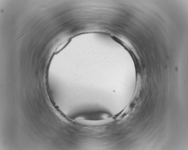 X0000059041197200511041628