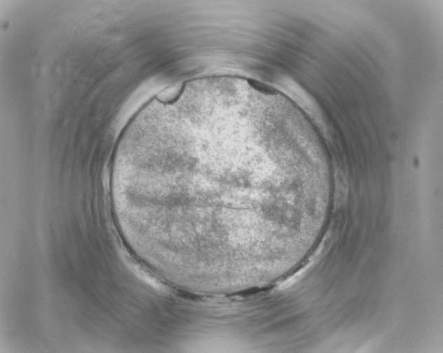 X0000059041198200511041628