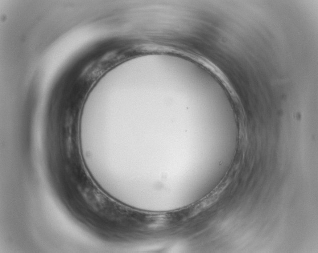 X0000059041199200511041628