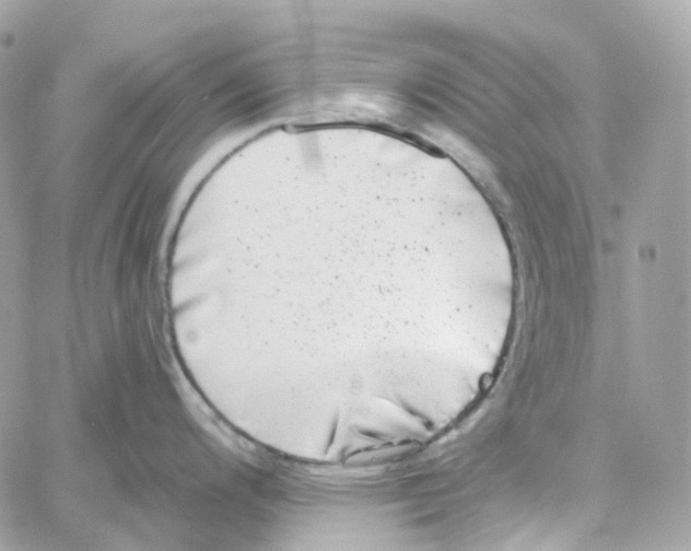 X0000059041200200511041628