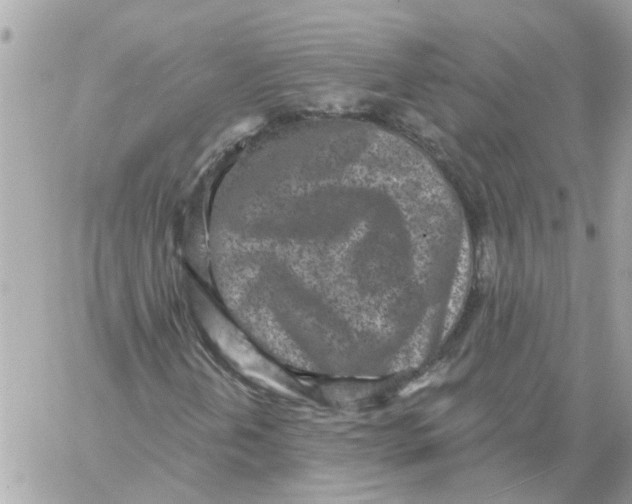 X0000059041202200511041627