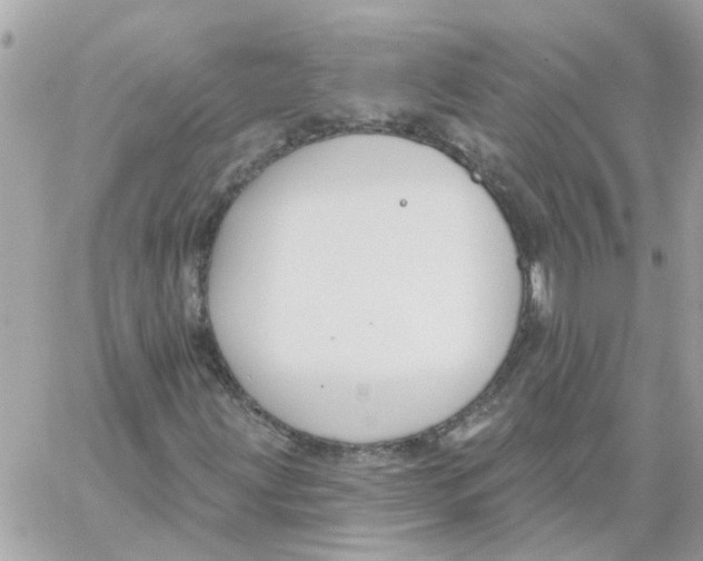 X0000059041203200511041627