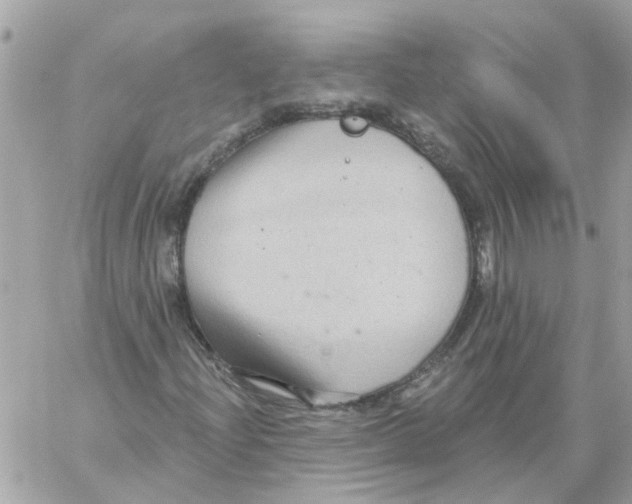 X0000059041204200511041627