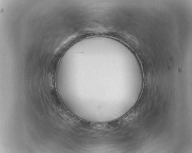 X0000059041205200511041627