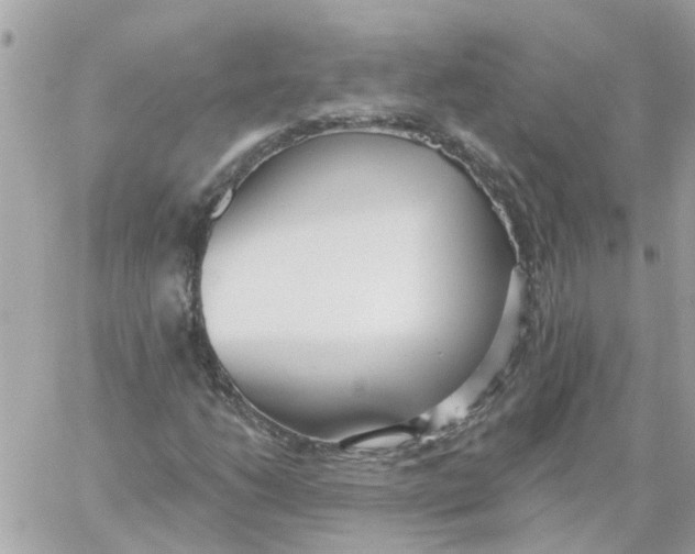 X0000059041206200511041628